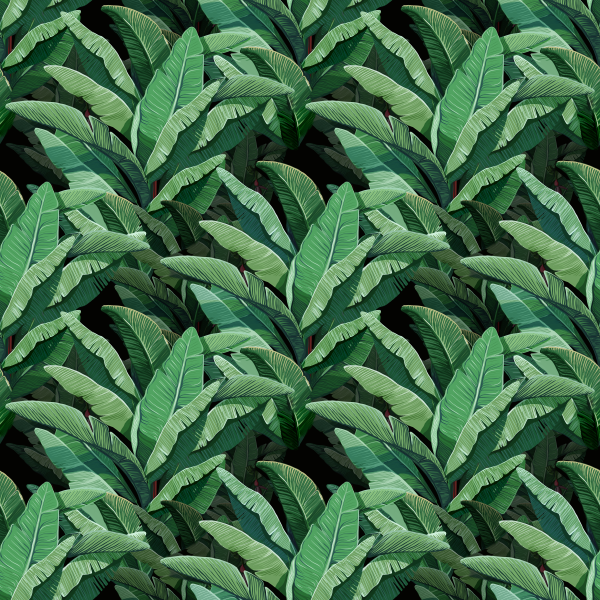Banana Leaves
