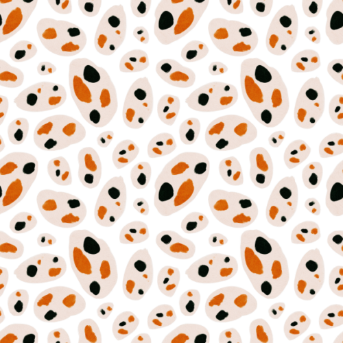 Blush Cells