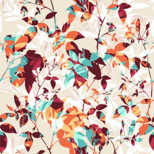 Colourful Autumn Leaves