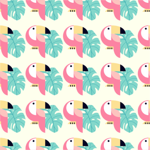 Funky Toucan
