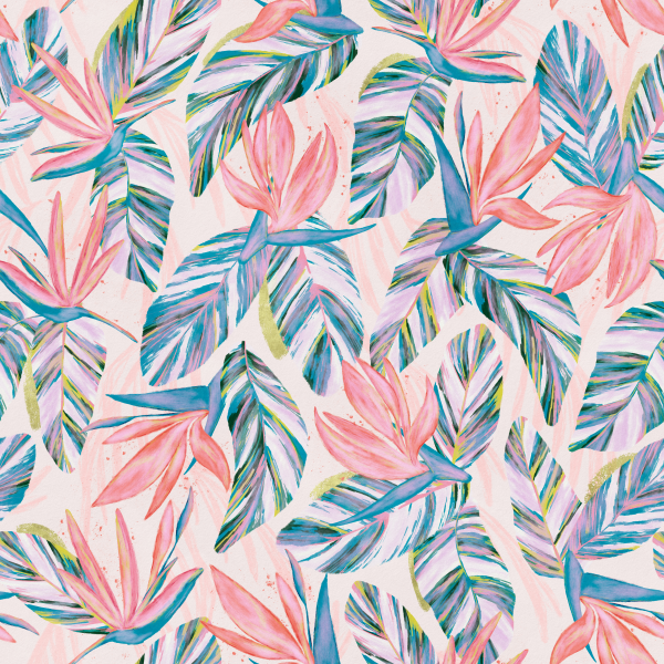 Pastel Pink Strelitzias