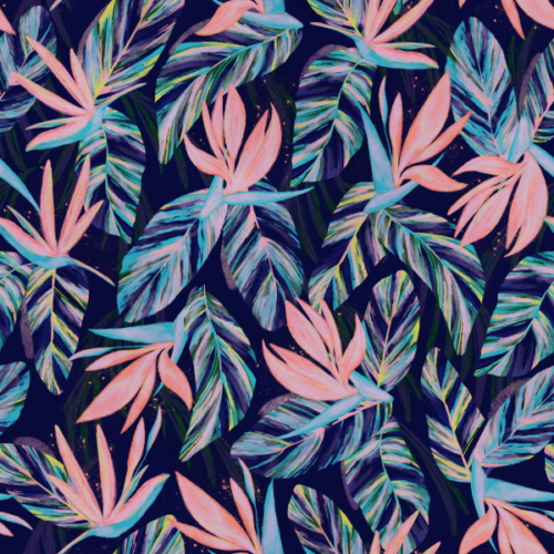 Pink and Blue Strelitzias
