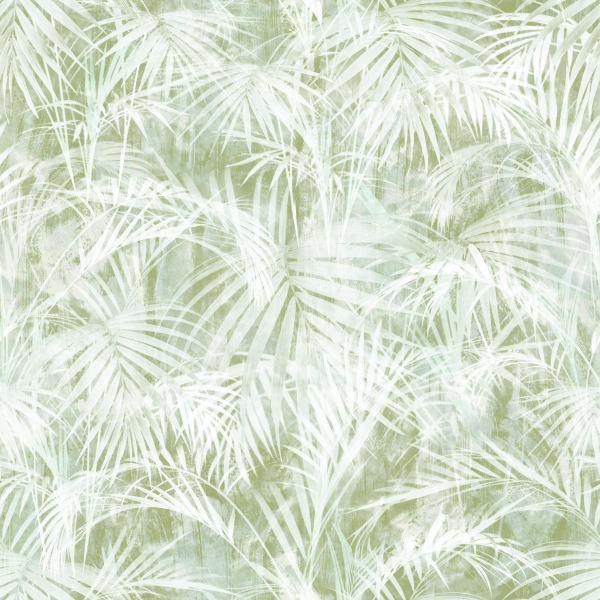 Soft Palm Leaves
