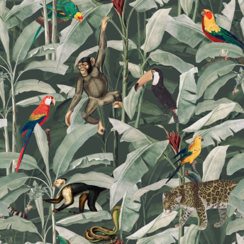 Tropical Forest