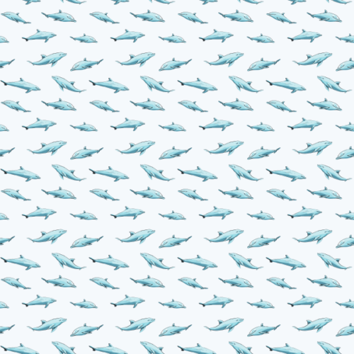 Dolphins