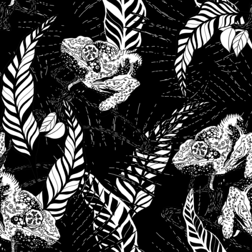 Monochrome Chameleons