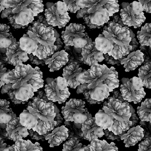 Soft Dark Flowers
