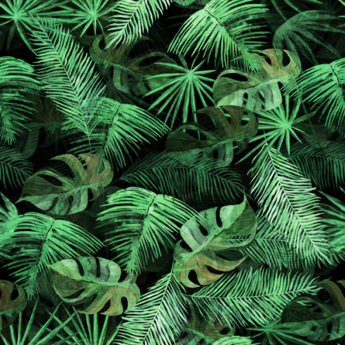 Dark Forest