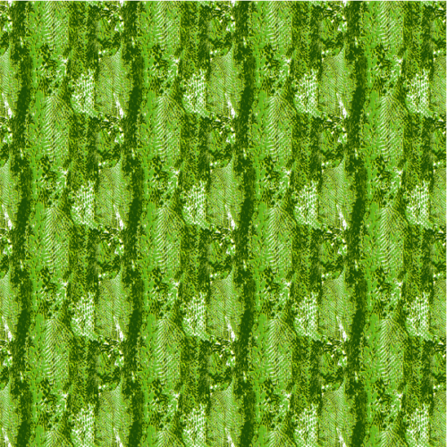 Exotic Snake Skin Exotic Snake Skin