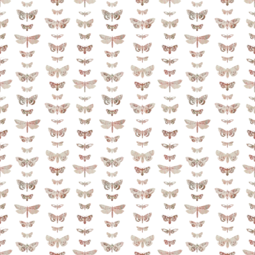 Shabby Moths