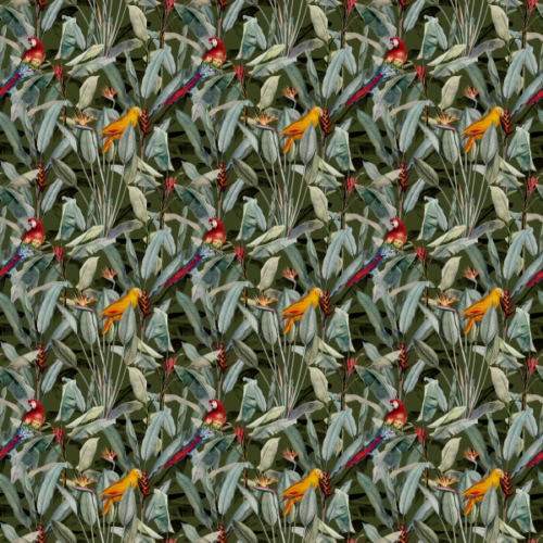 Tropical Forest 2