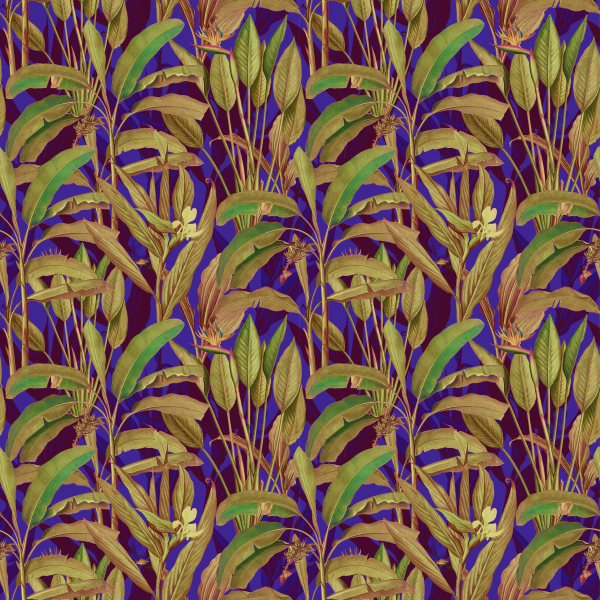 Violet Banana Leaves